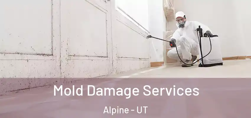  Mold Damage Services Alpine - UT