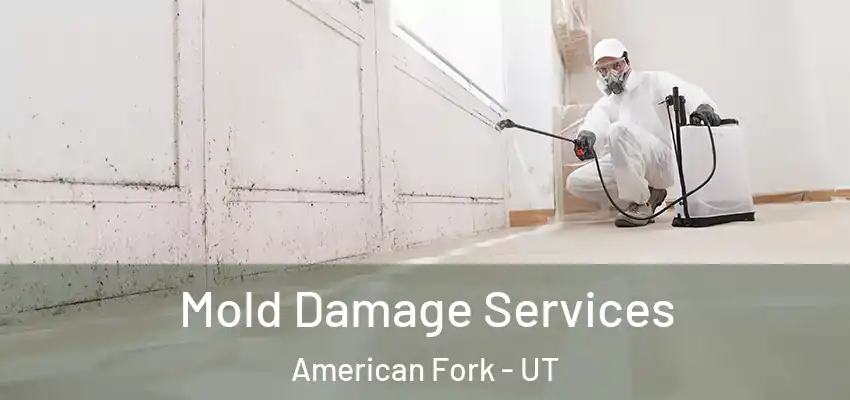  Mold Damage Services American Fork - UT
