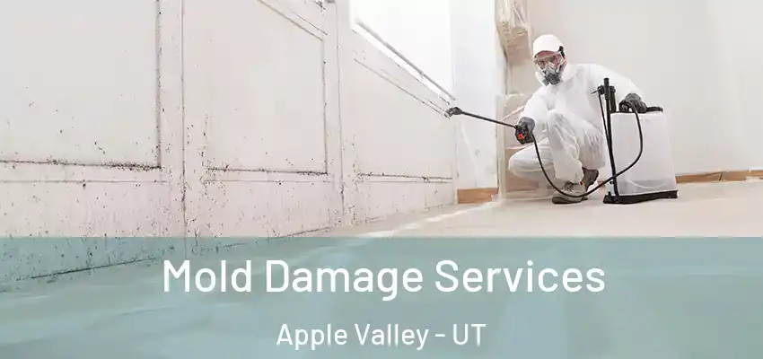  Mold Damage Services Apple Valley - UT
