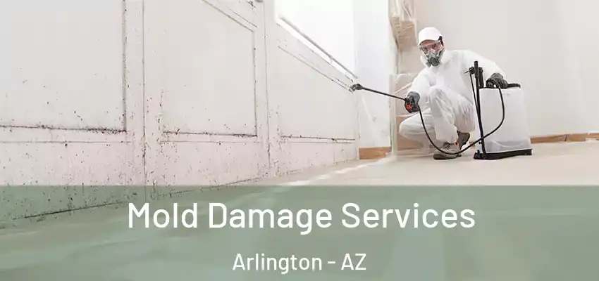  Mold Damage Services Arlington - AZ