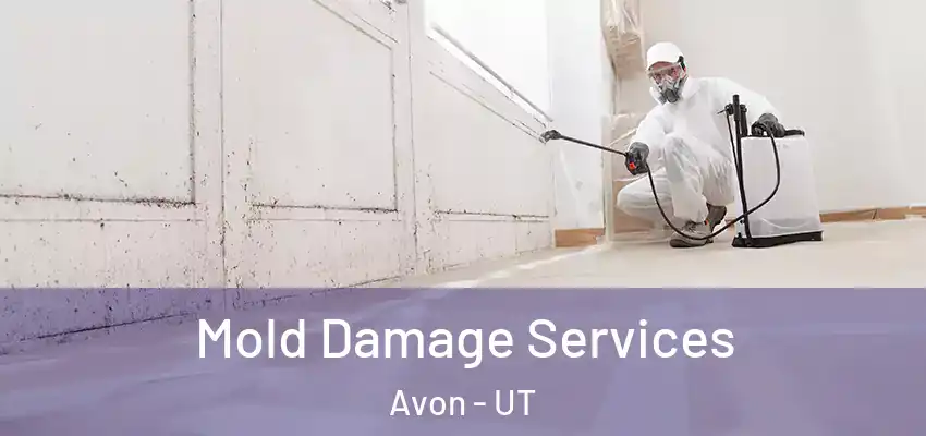  Mold Damage Services Avon - UT