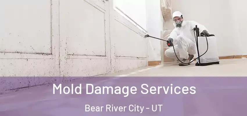  Mold Damage Services Bear River City - UT