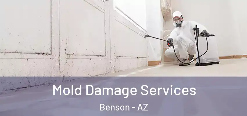  Mold Damage Services Benson - AZ