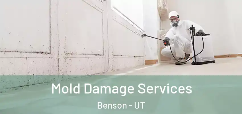  Mold Damage Services Benson - UT