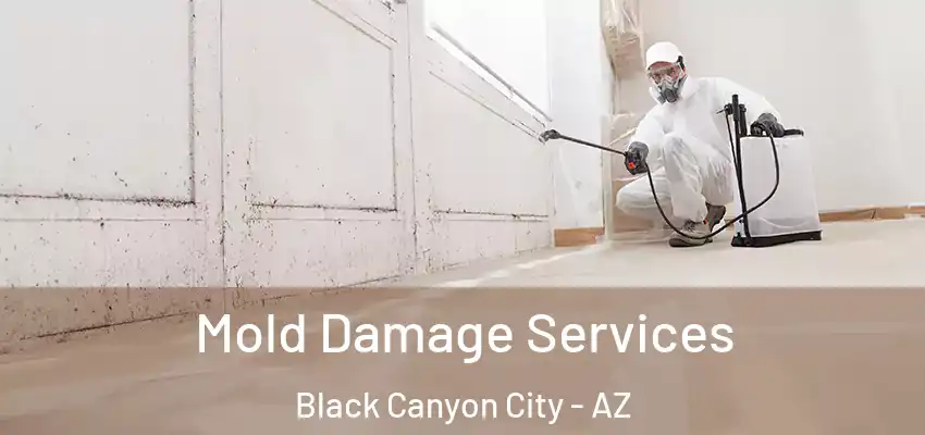  Mold Damage Services Black Canyon City - AZ