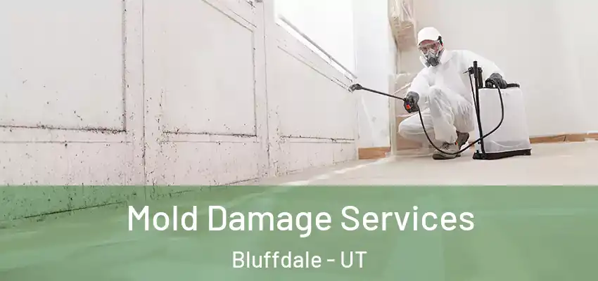  Mold Damage Services Bluffdale - UT