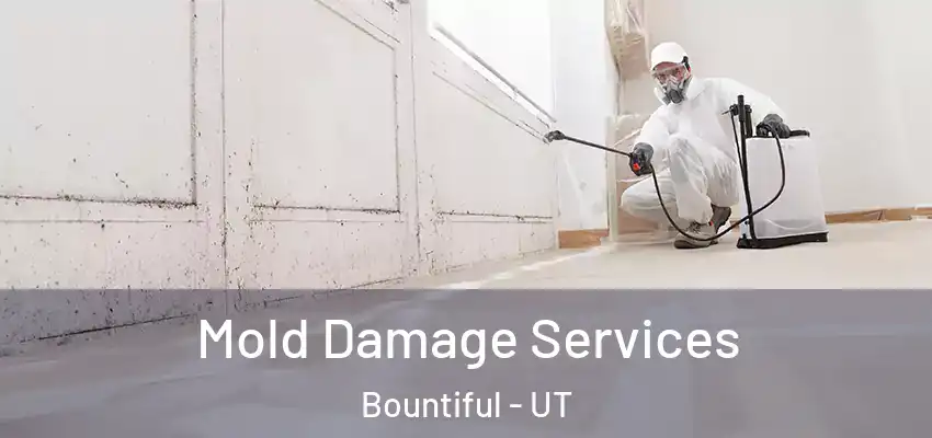  Mold Damage Services Bountiful - UT