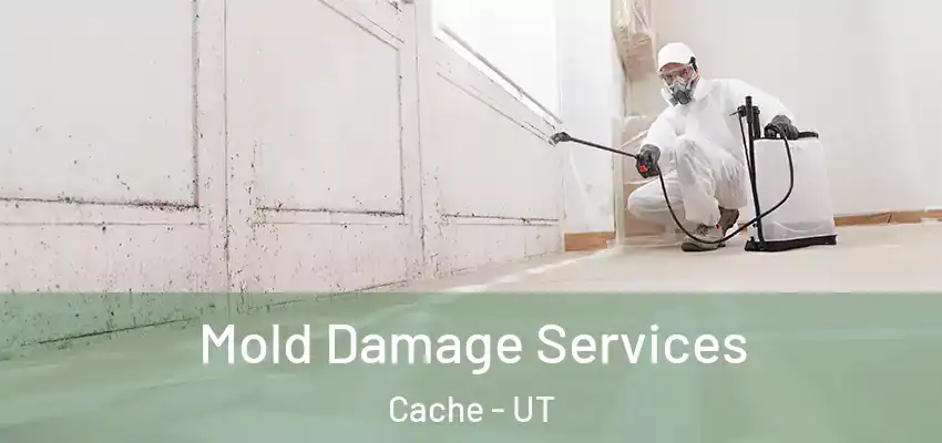  Mold Damage Services Cache - UT