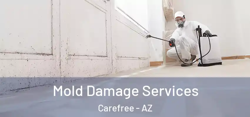  Mold Damage Services Carefree - AZ