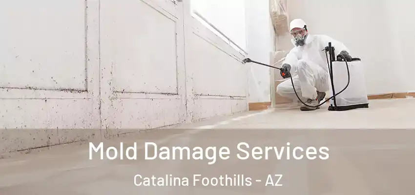  Mold Damage Services Catalina Foothills - AZ