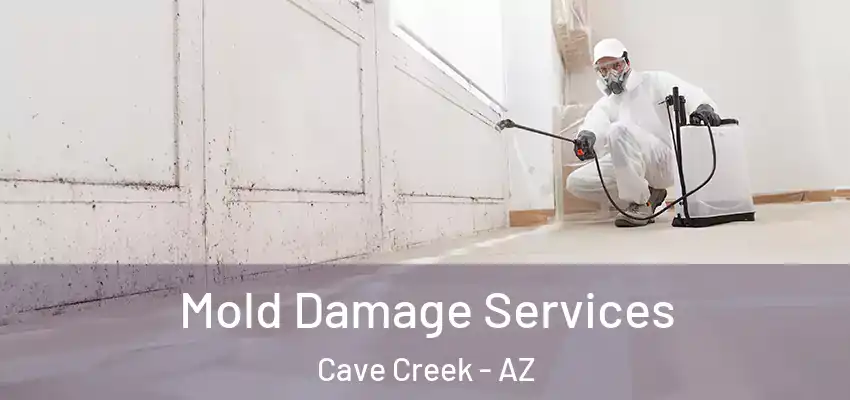  Mold Damage Services Cave Creek - AZ