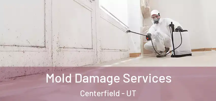  Mold Damage Services Centerfield - UT
