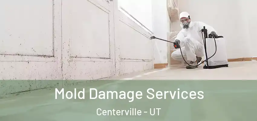  Mold Damage Services Centerville - UT