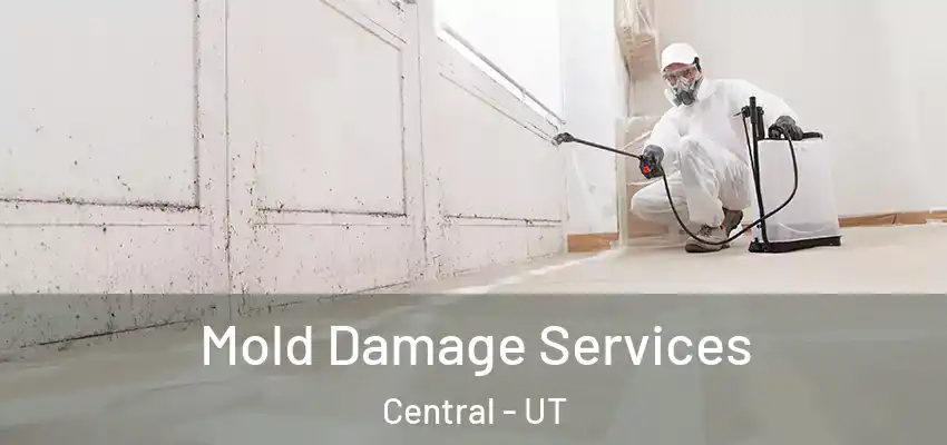  Mold Damage Services Central - UT