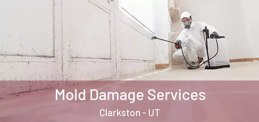  Mold Damage Services Clarkston - UT