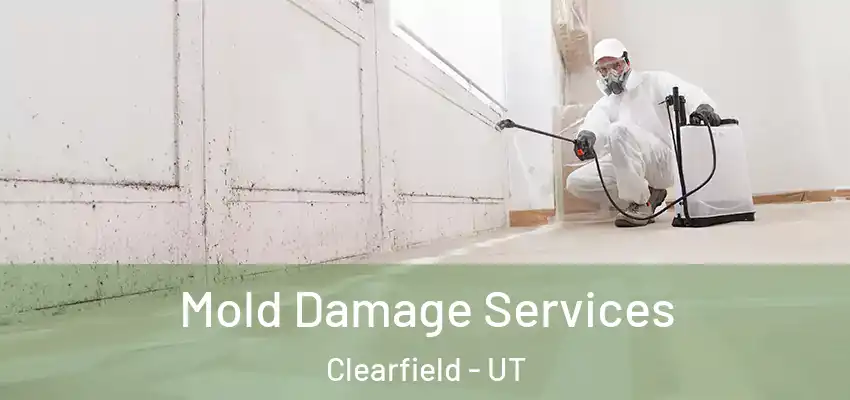  Mold Damage Services Clearfield - UT