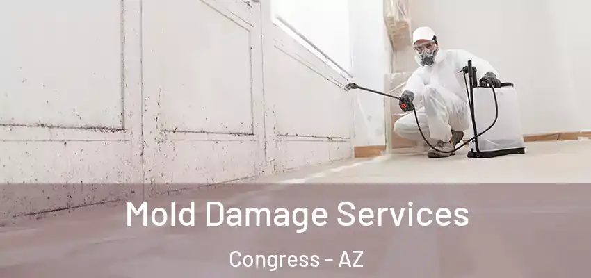  Mold Damage Services Congress - AZ