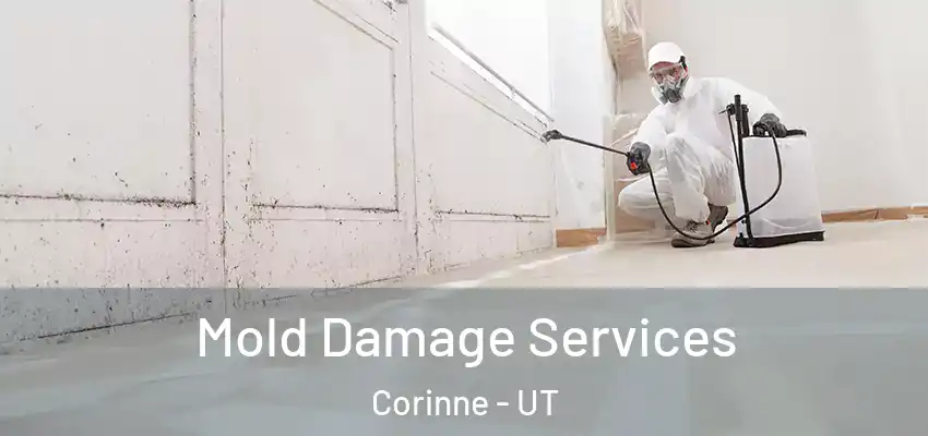  Mold Damage Services Corinne - UT