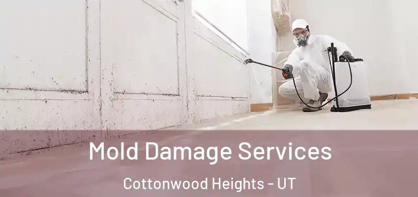  Mold Damage Services Cottonwood Heights - UT