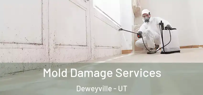  Mold Damage Services Deweyville - UT