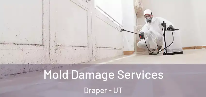  Mold Damage Services Draper - UT