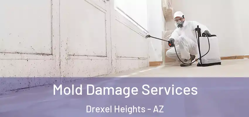  Mold Damage Services Drexel Heights - AZ
