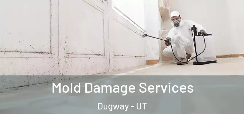  Mold Damage Services Dugway - UT