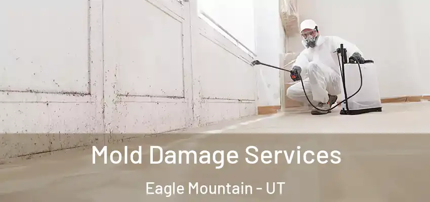  Mold Damage Services Eagle Mountain - UT