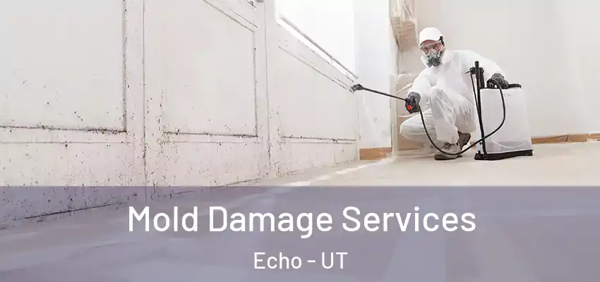  Mold Damage Services Echo - UT