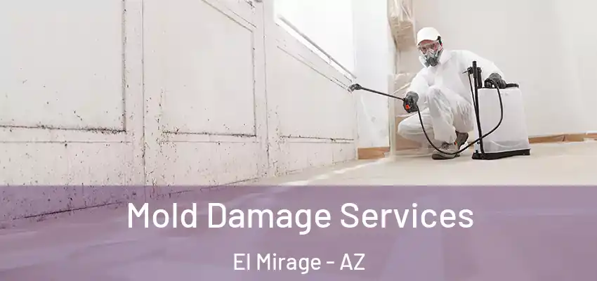  Mold Damage Services El Mirage - AZ