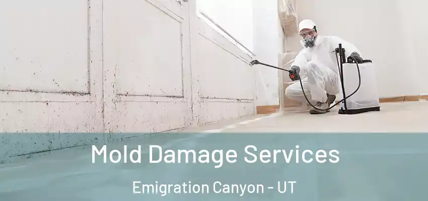  Mold Damage Services Emigration Canyon - UT