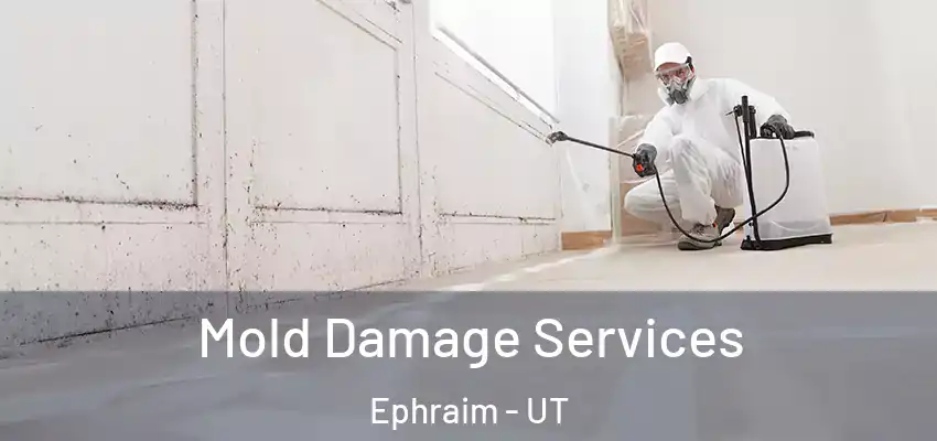  Mold Damage Services Ephraim - UT