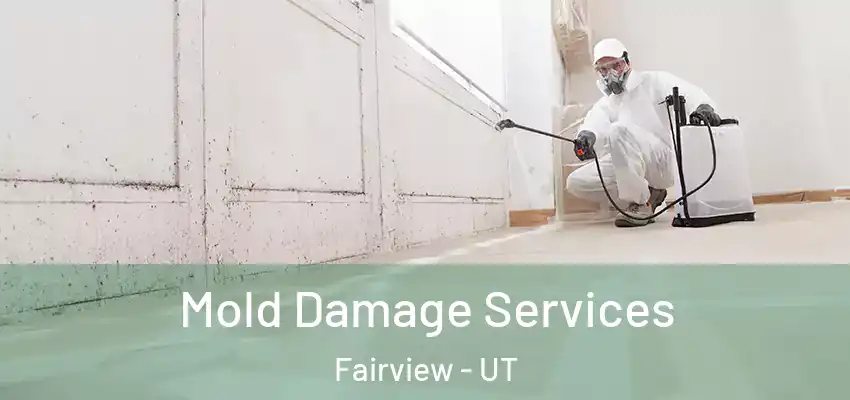  Mold Damage Services Fairview - UT