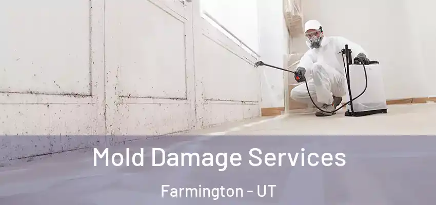  Mold Damage Services Farmington - UT