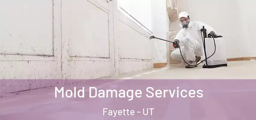 Mold Damage Services Fayette - UT
