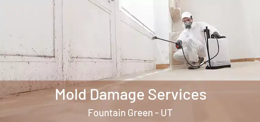  Mold Damage Services Fountain Green - UT