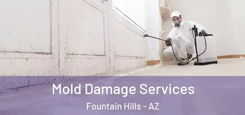 Mold Damage Services Fountain Hills - AZ