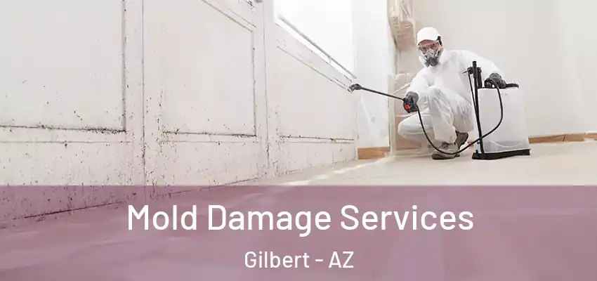 Mold Damage Services Gilbert - AZ
