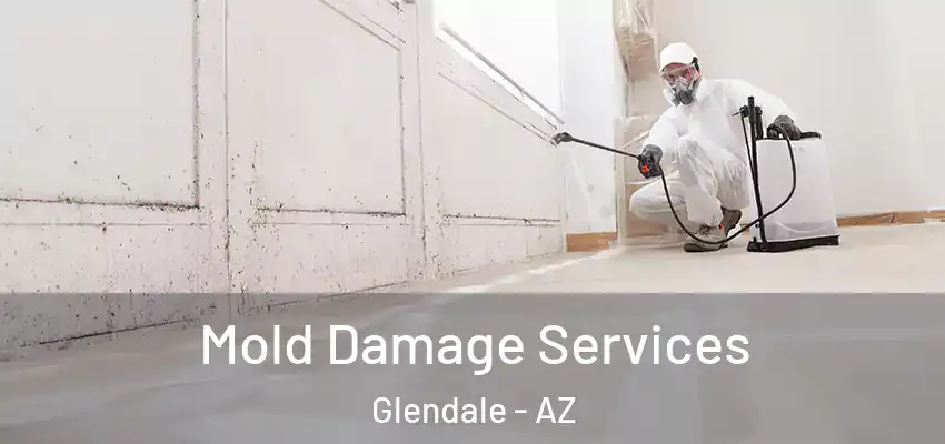 Mold Damage Services Glendale - AZ