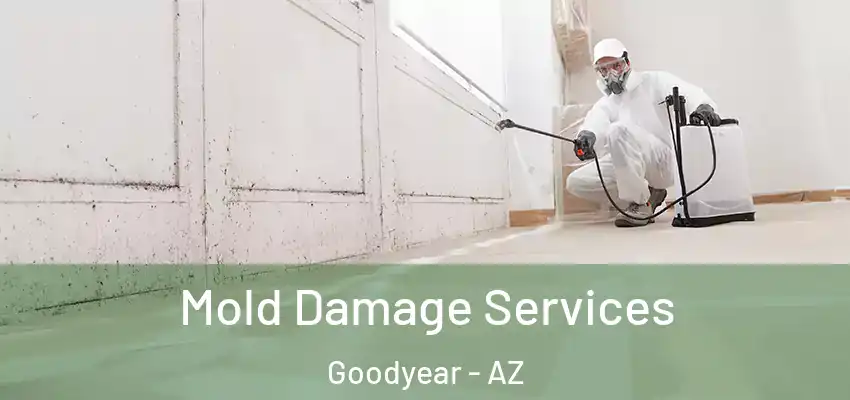  Mold Damage Services Goodyear - AZ