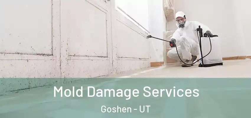 Mold Damage Services Goshen - UT