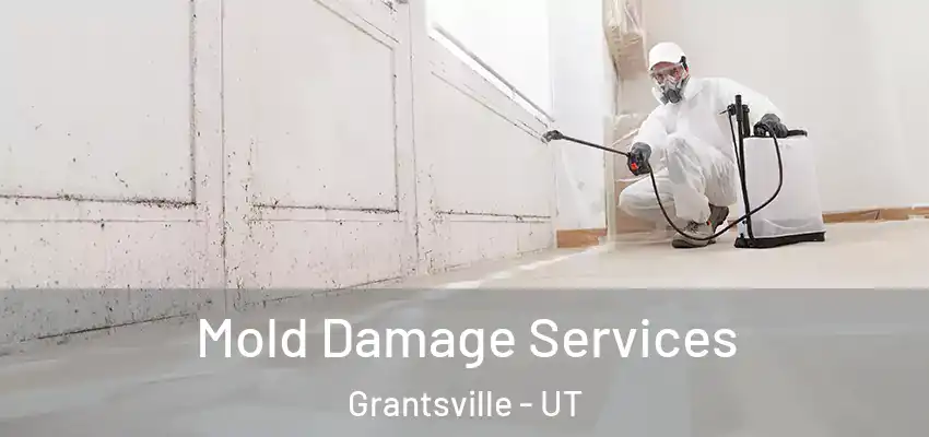  Mold Damage Services Grantsville - UT