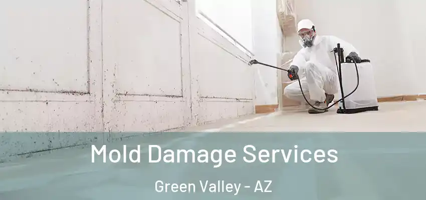  Mold Damage Services Green Valley - AZ