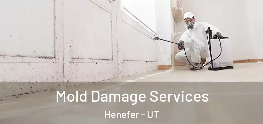  Mold Damage Services Henefer - UT