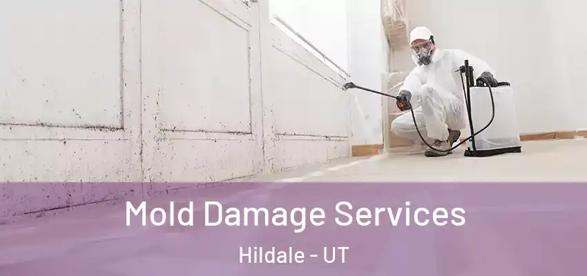 Mold Damage Services Hildale - UT