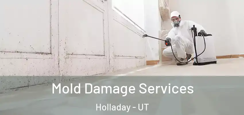 Mold Damage Services Holladay - UT