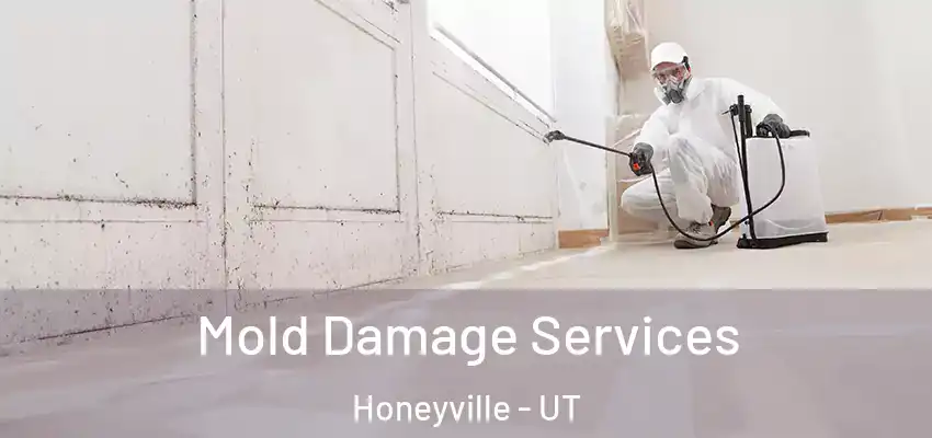  Mold Damage Services Honeyville - UT