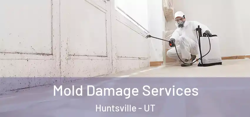  Mold Damage Services Huntsville - UT