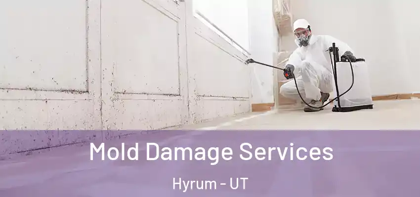  Mold Damage Services Hyrum - UT