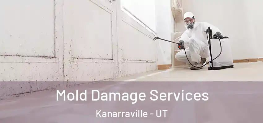 Mold Damage Services Kanarraville - UT